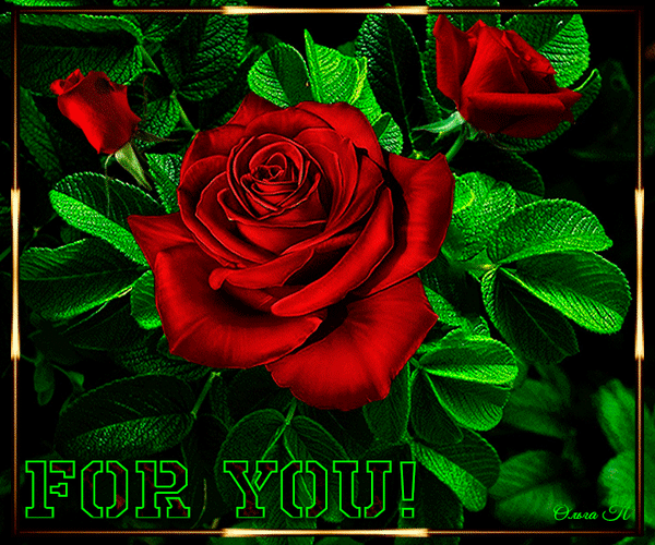 Анимированная открытка FOR YOU! цветок